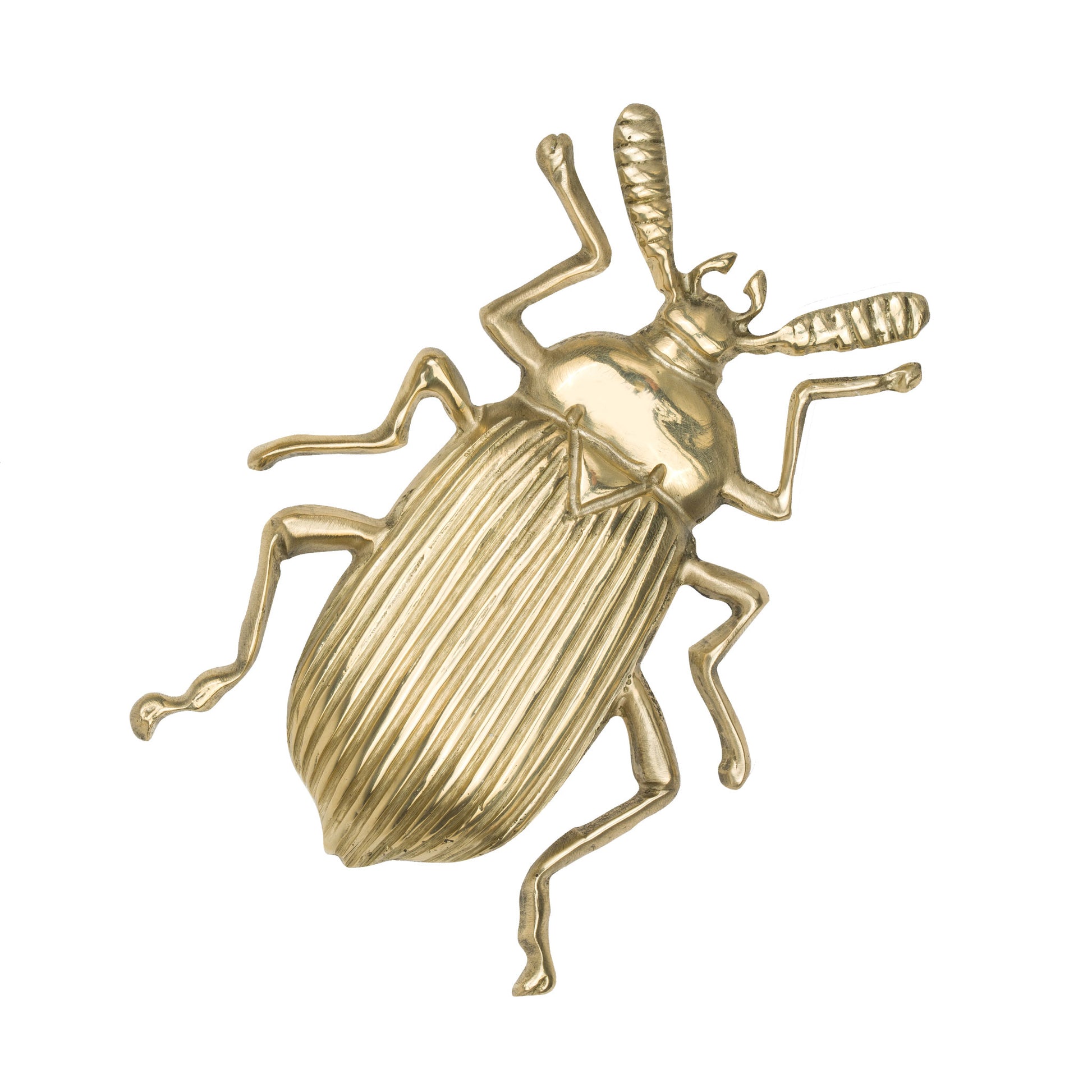 Natural Beetle  shaped brass cabinet knob