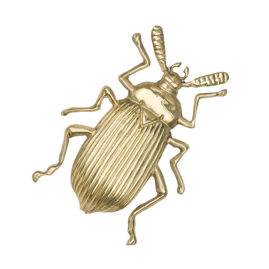 Natural Beetle  shaped brass cabinet knob