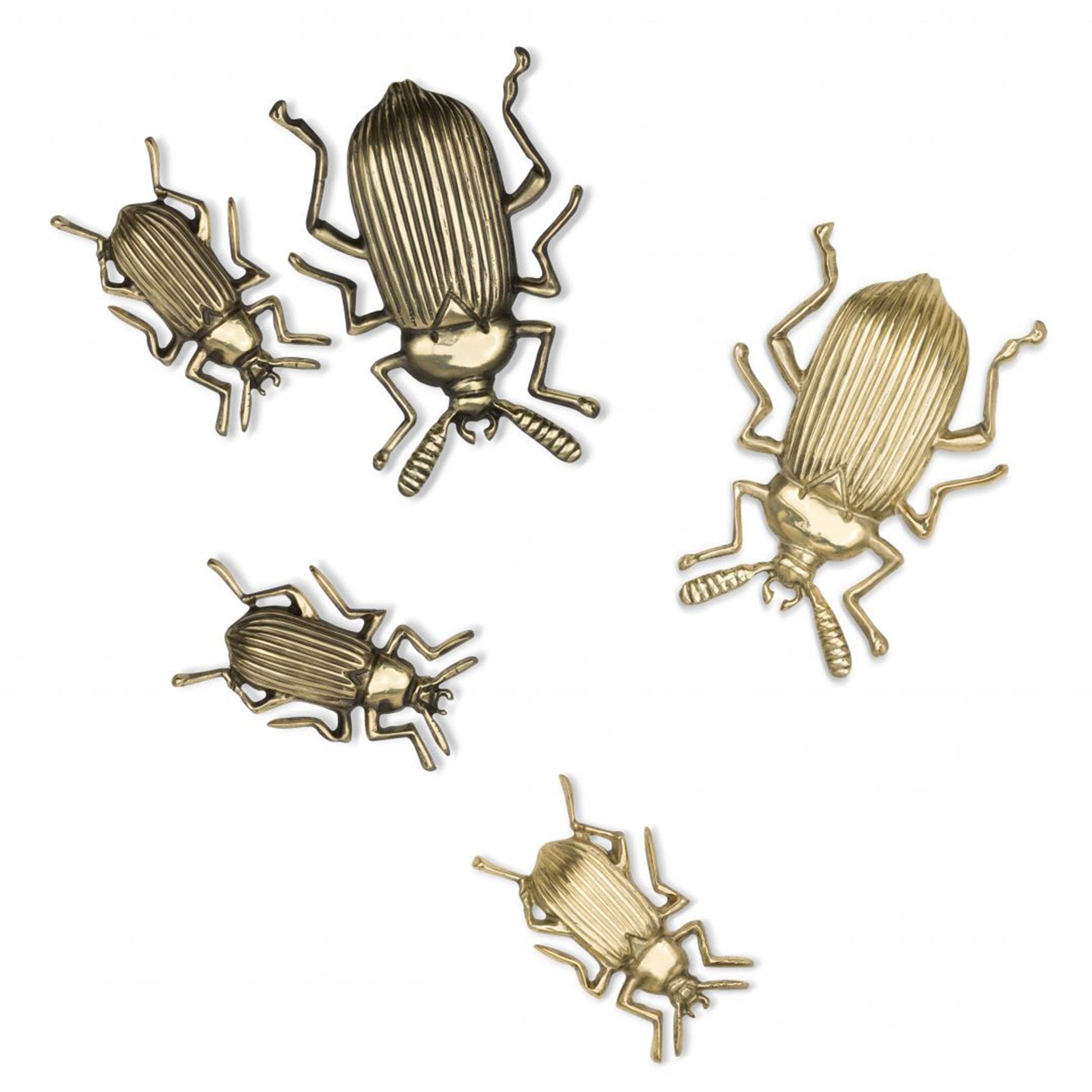 Grouping of Natural Beetle shaped cabinet knobs in two sizes in a bright and shiny brass