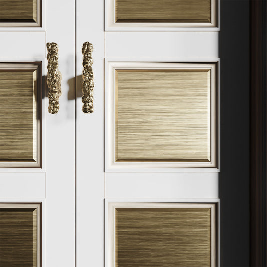 Devon 2 T-Pull installed on doors