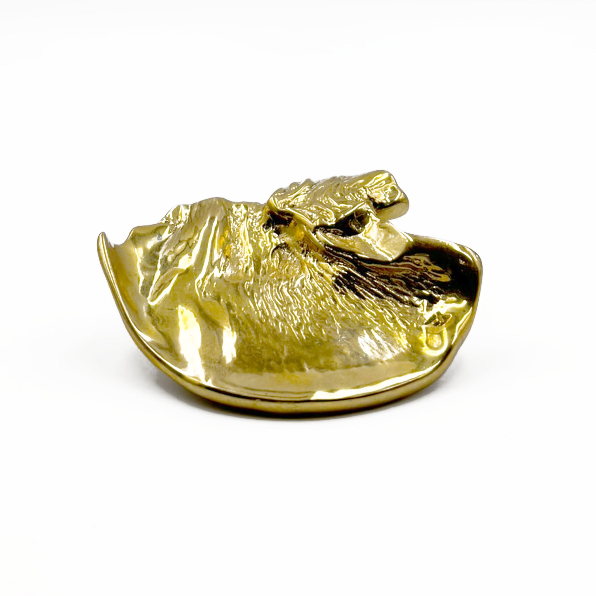 Unlacquered Brass Organic shaped cabinet pull on a white background