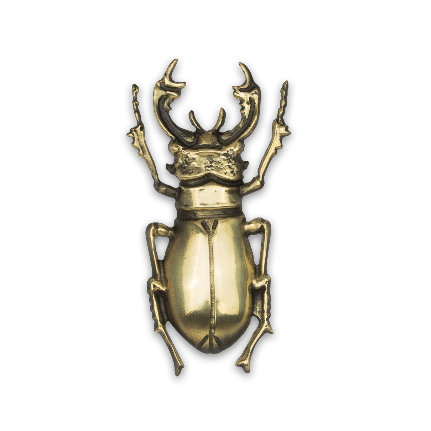 a  naturalistic stag beetle cabinet pull in a shiny brass finish