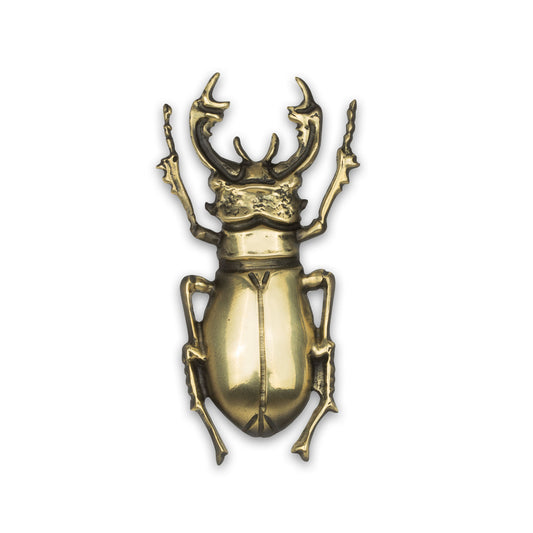 a  naturalistic stag beetle cabinet pull in a shiny brass finish
