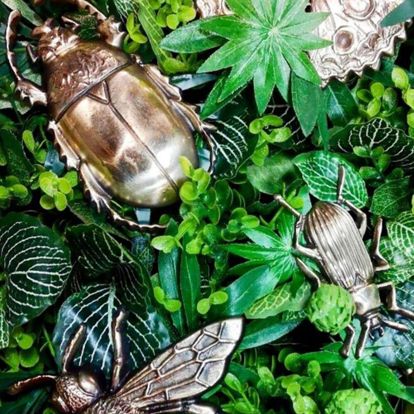 Scarab Pull in greenery