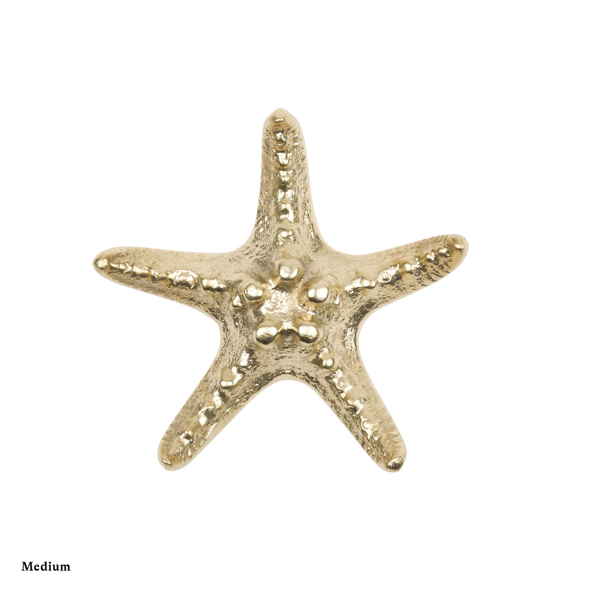 a Naturalistic brass starfish cabinet pull on a white background labeled with medium size at the bottom left