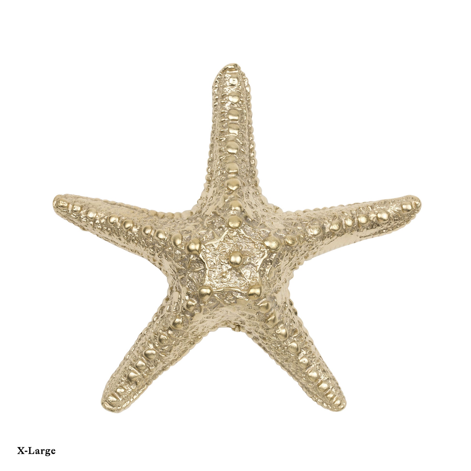 a Naturalistic brass starfish cabinet pull on a white background labeled with X-Large size at the bottom left