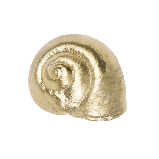 <atte Brass snail shell cup pull on a white background