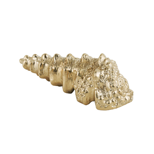 Decorative unlacquered brass shell  cabinet pull on a white background