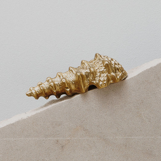 Decorative unlacquered brass shell  cabinet pull on aa limestone slant