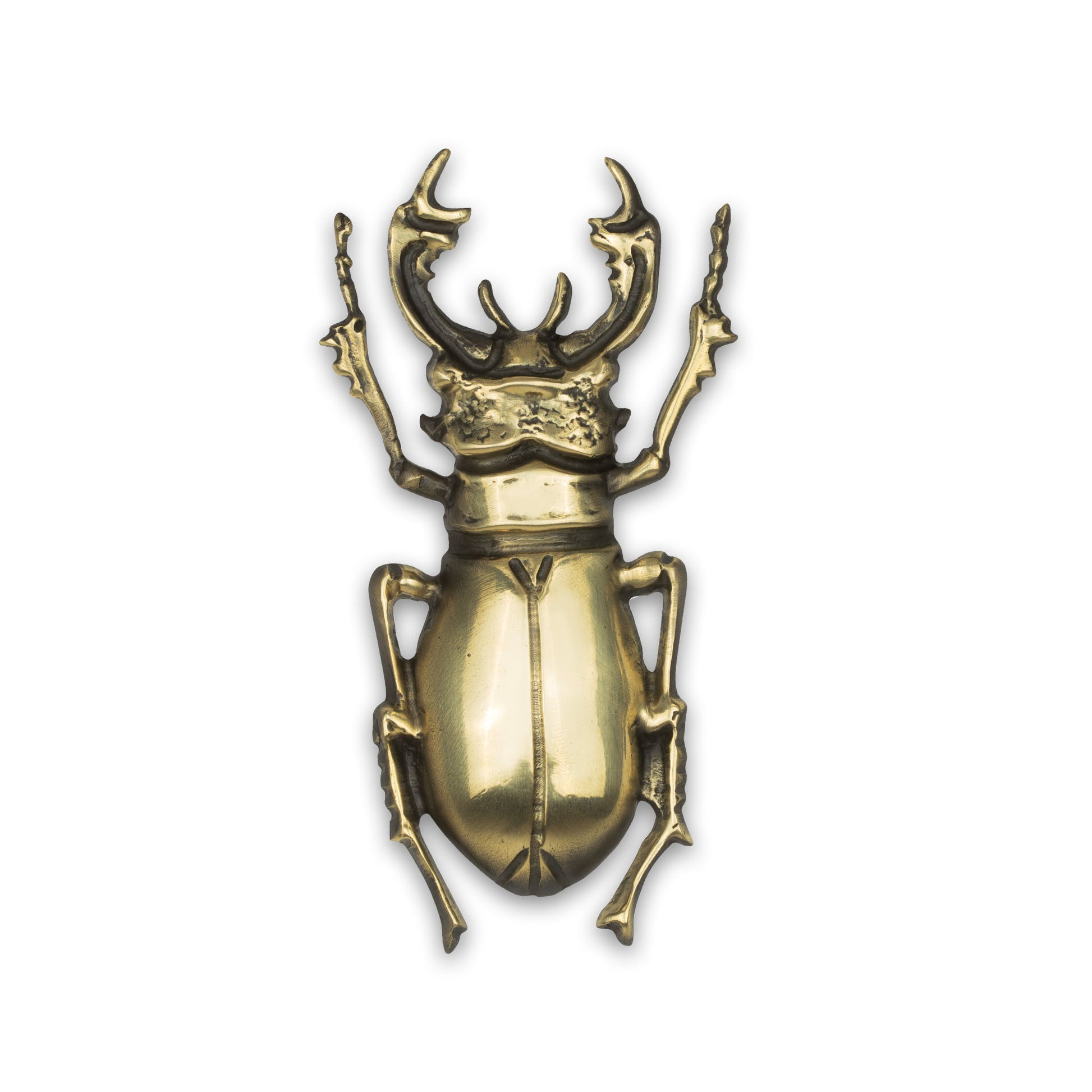 a  naturalistic stag beetle cabinet pull in a shiny brass finish