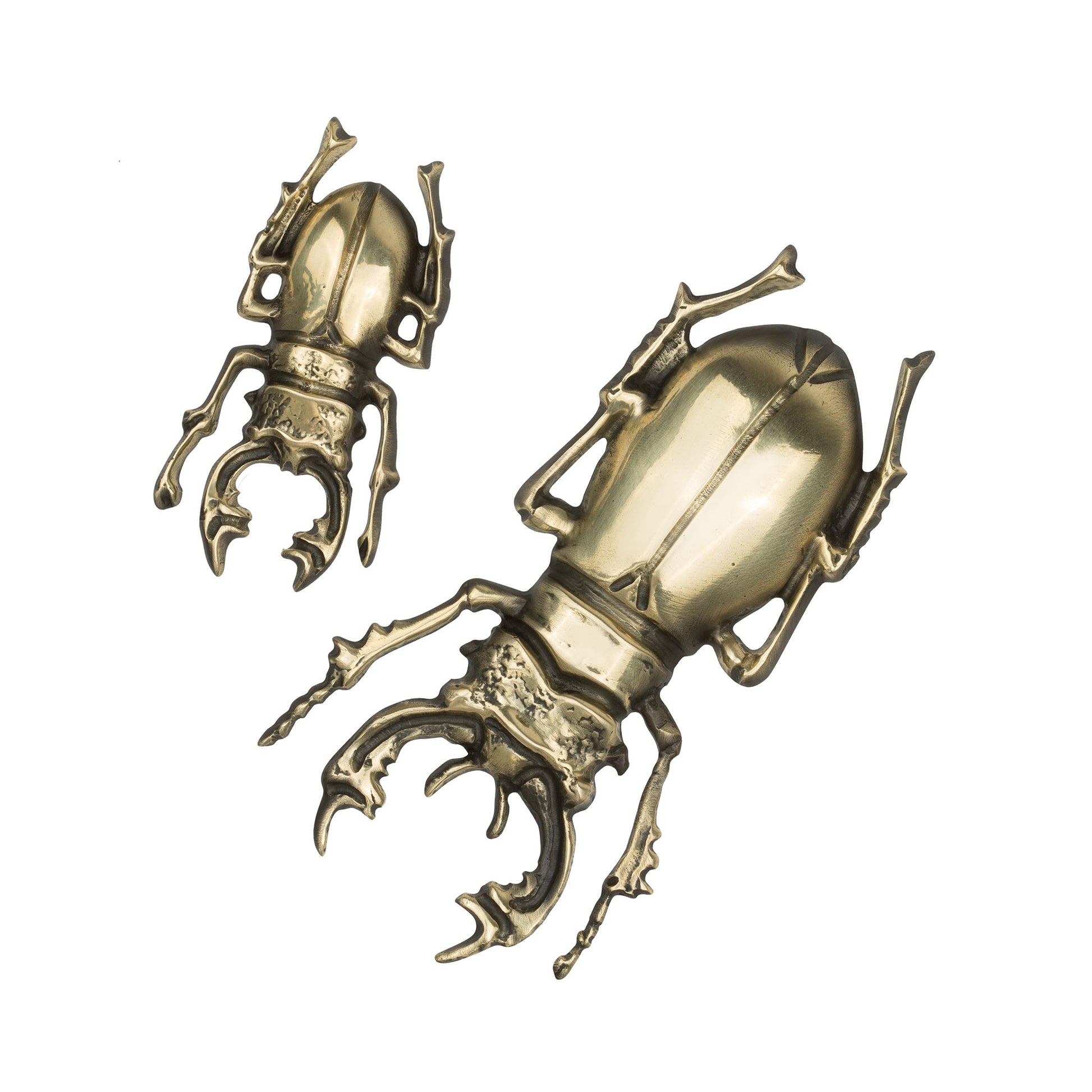 A pair of naturalistic stag beetle cabinet pull in a shiny brass finish