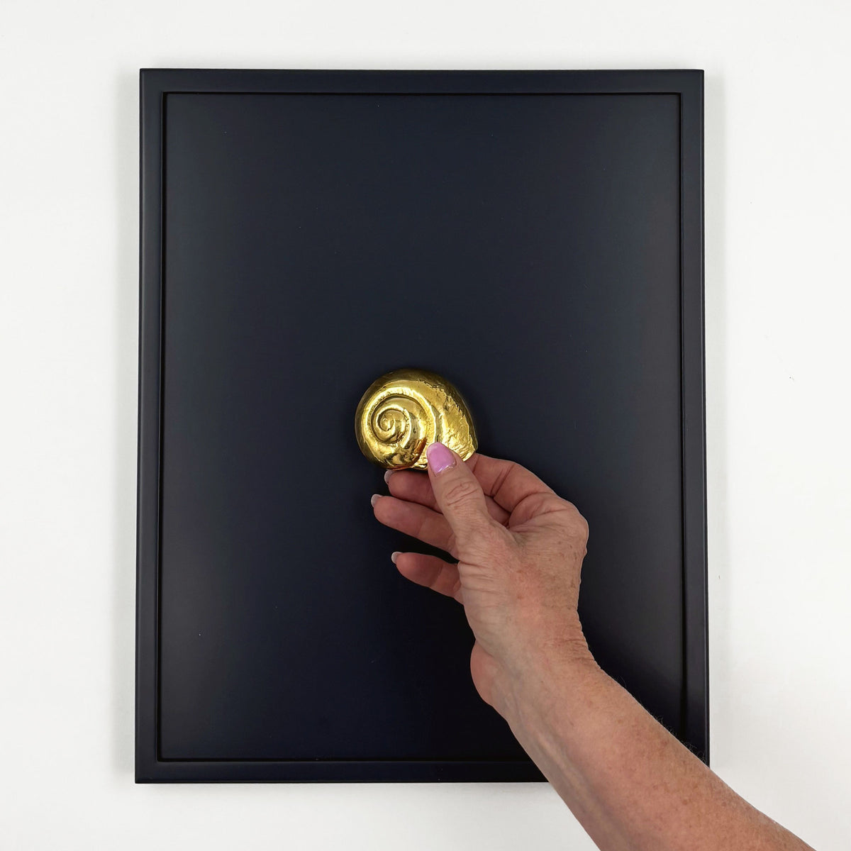 a shell shaped cup pull on a wlnut slim shaker cabinet front on a white background