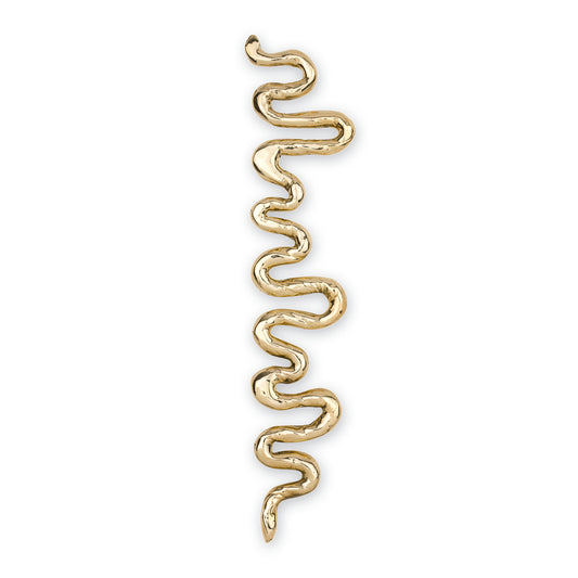 Top View of a Brass sinious snake-shaped cabinet pull on a white background