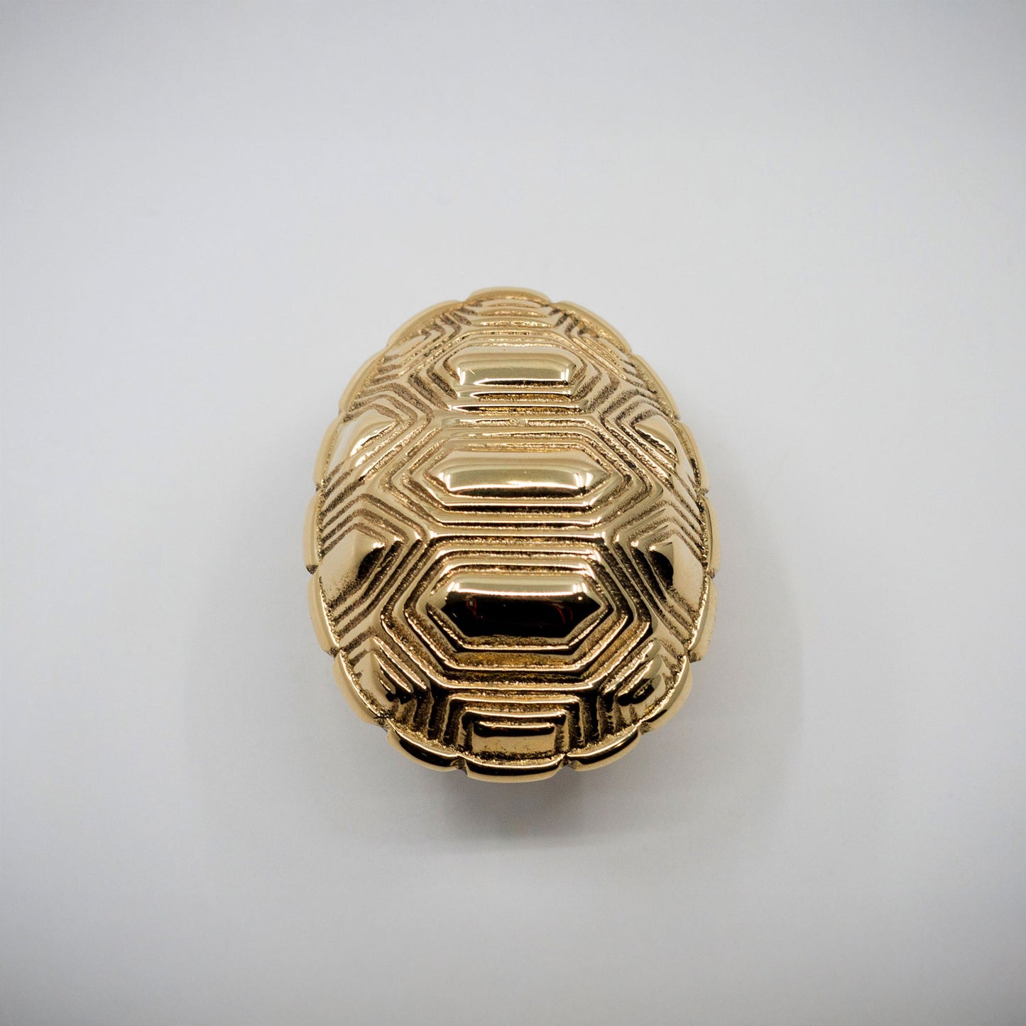 A small gold-toned polished brass tortoise shell cabinet hardware pull on an off-white background.