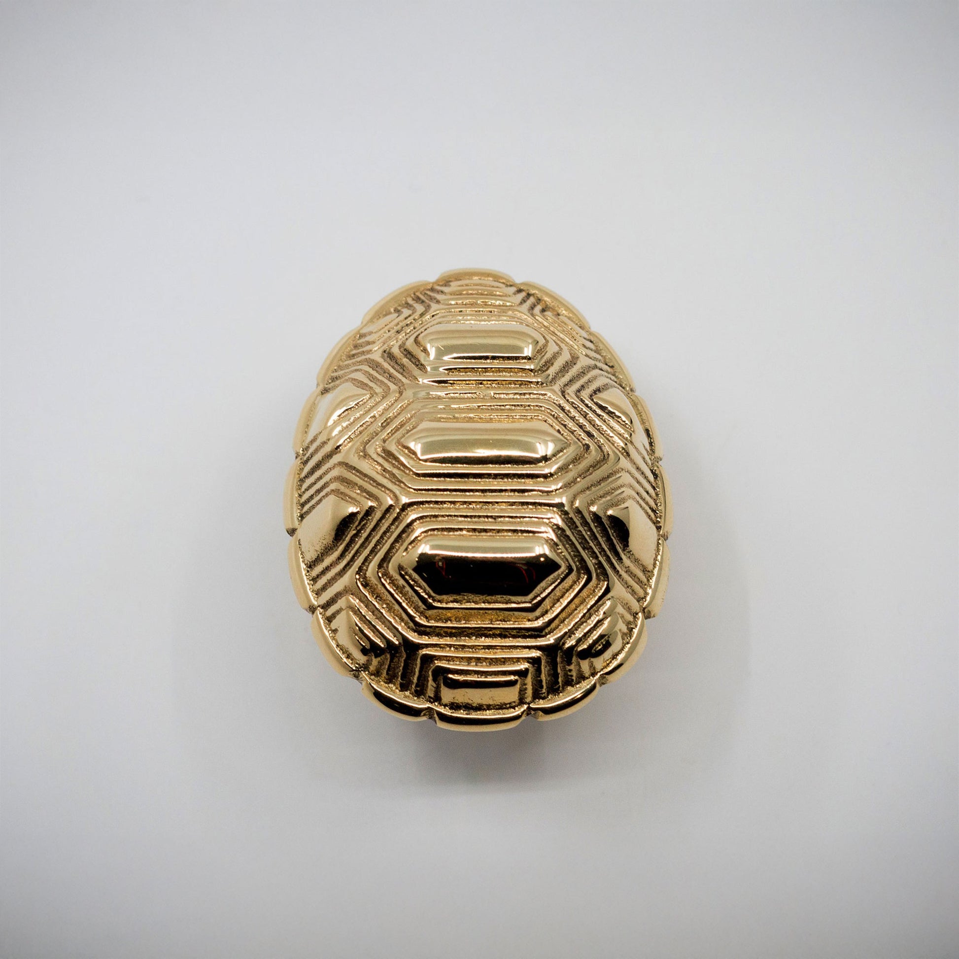A small gold-toned polished brass tortoise shell cabinet hardware pull on an off-white background.