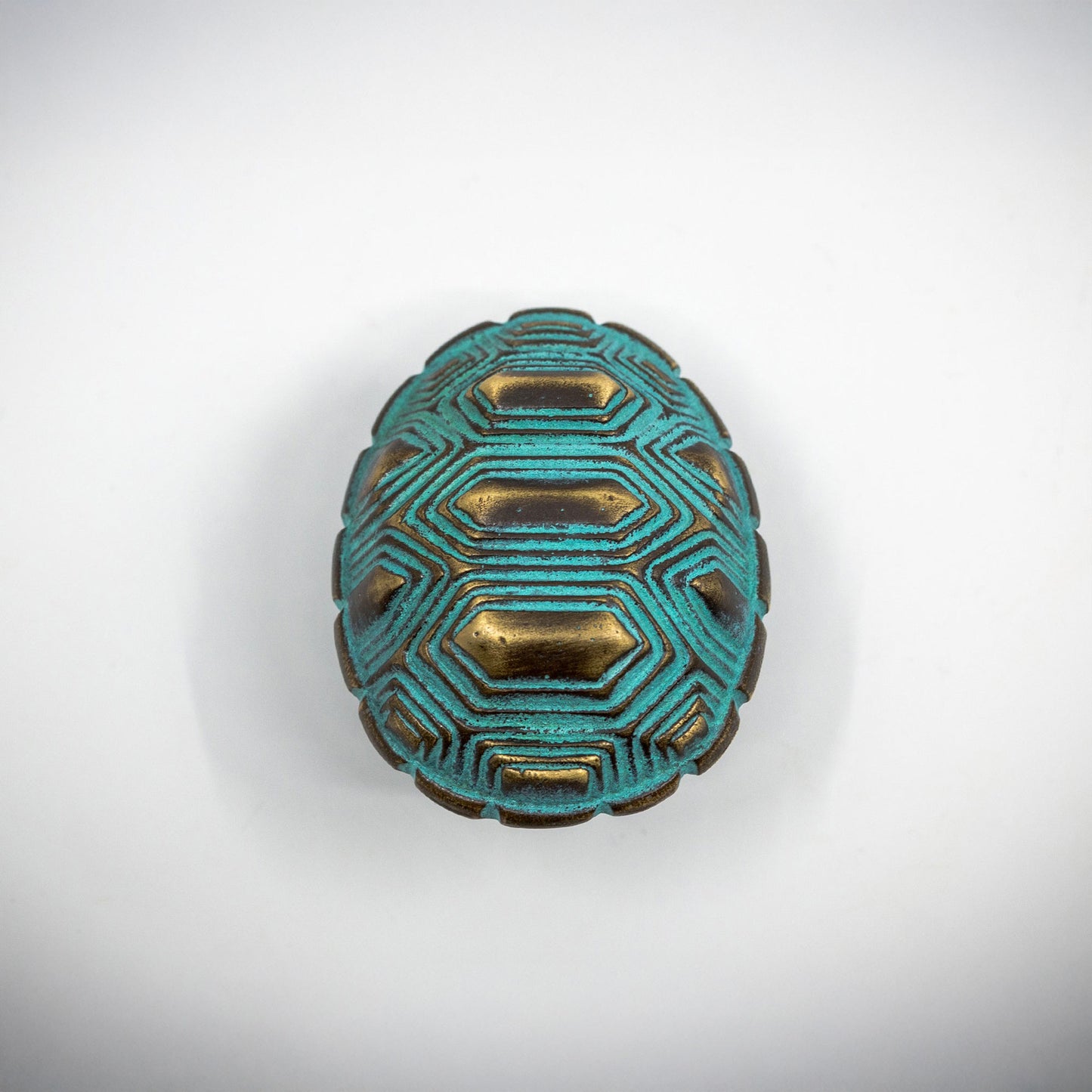 A small turquoise and gold-toned polished brass tortoise shell cabinet hardware pull on an off-white background.