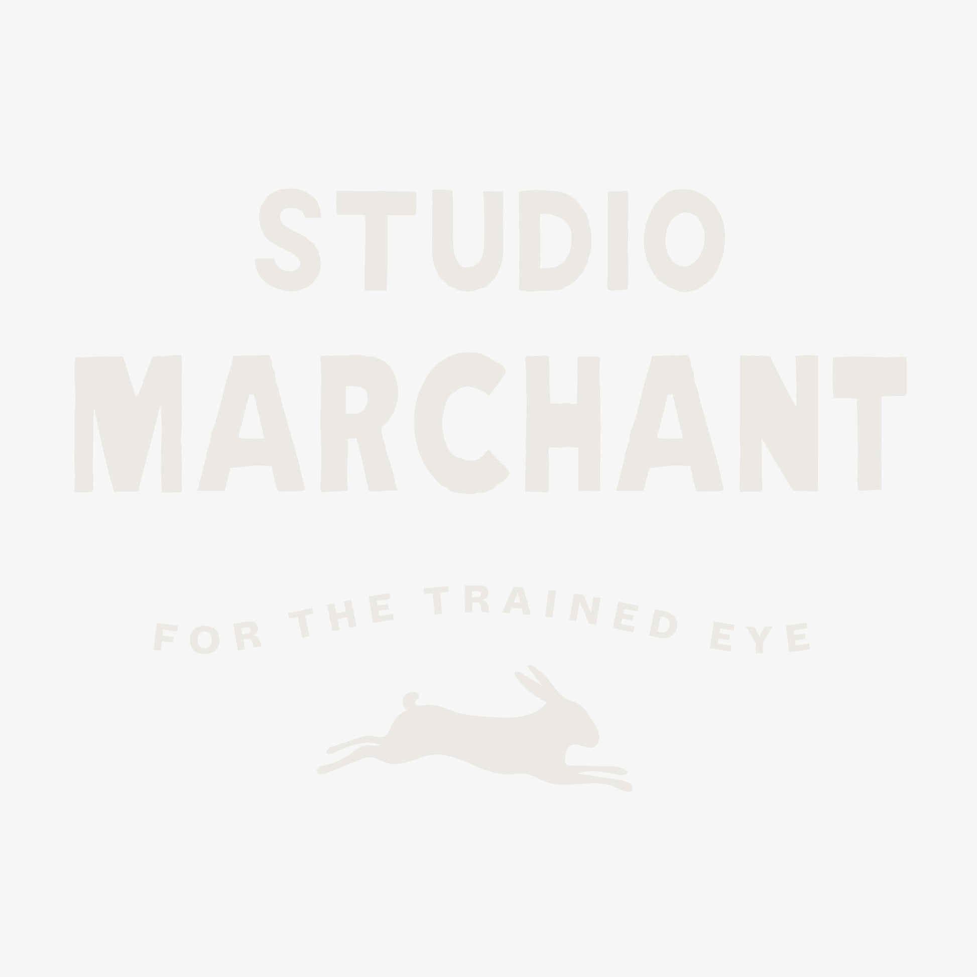 Placeholder Image with our logo on w white background