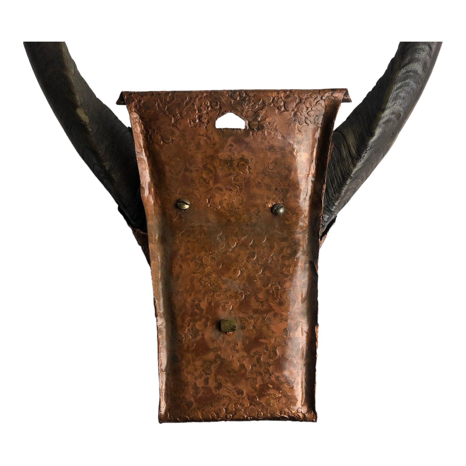 Mount Back- Natural Antlers with Hammered Copper Mount