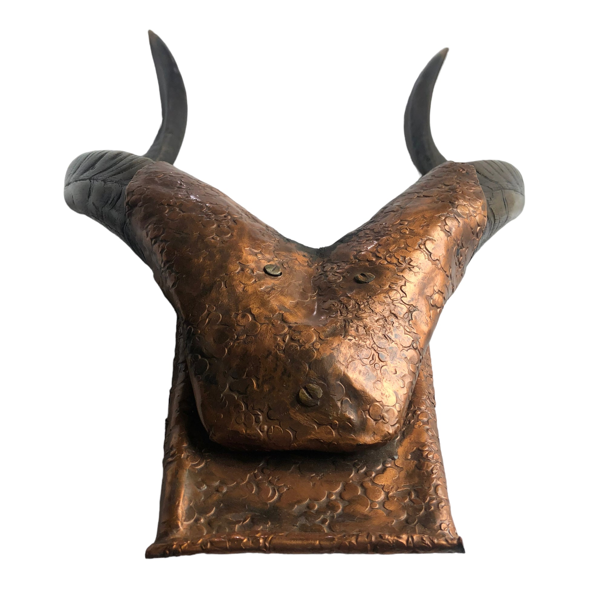 Mount Bottom - Natural Antlers with Hammered Copper Mount