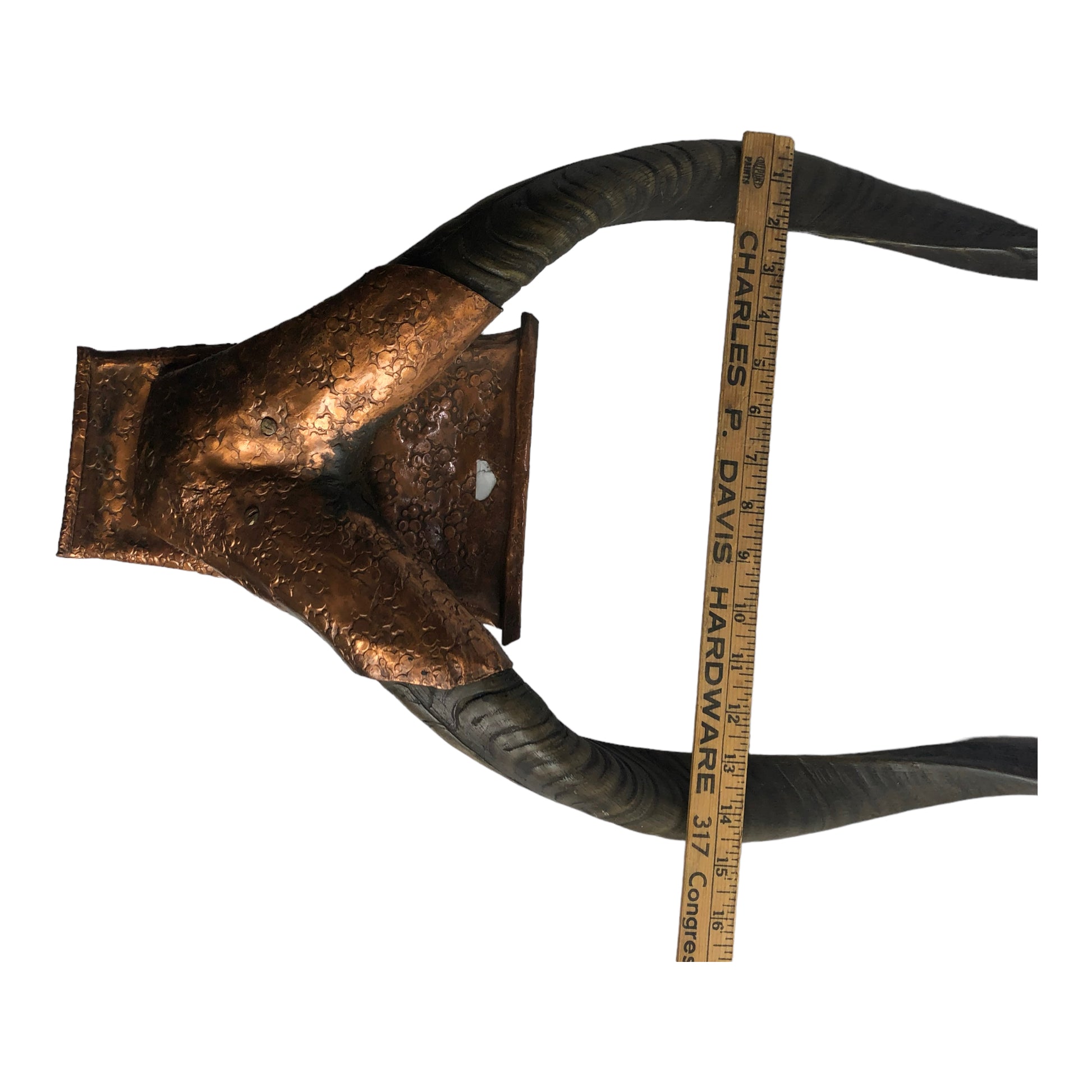 Mount back with ruler - Natural Antlers with Hammered Copper Mount