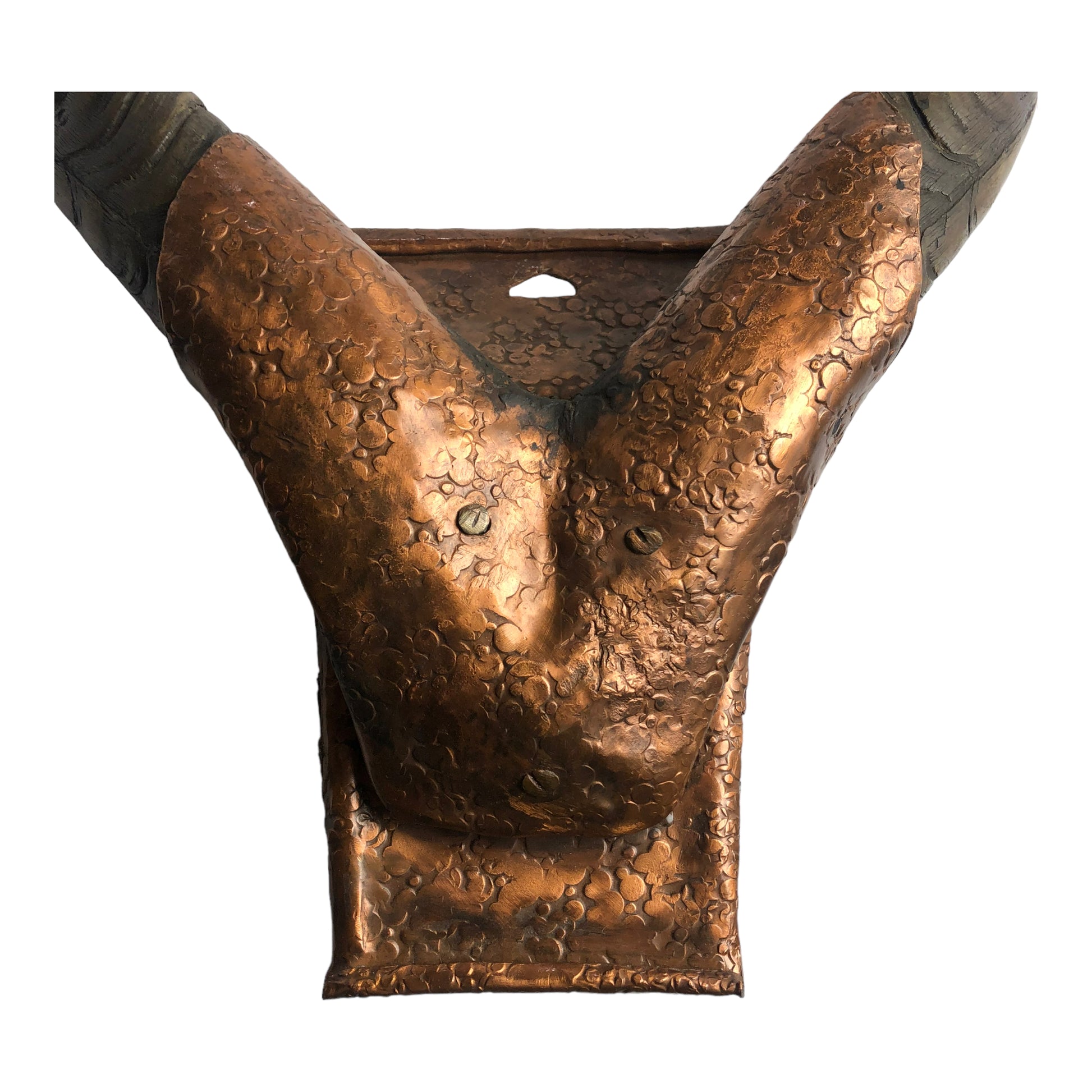 Mount - Natural Antlers with Hammered Copper Mount