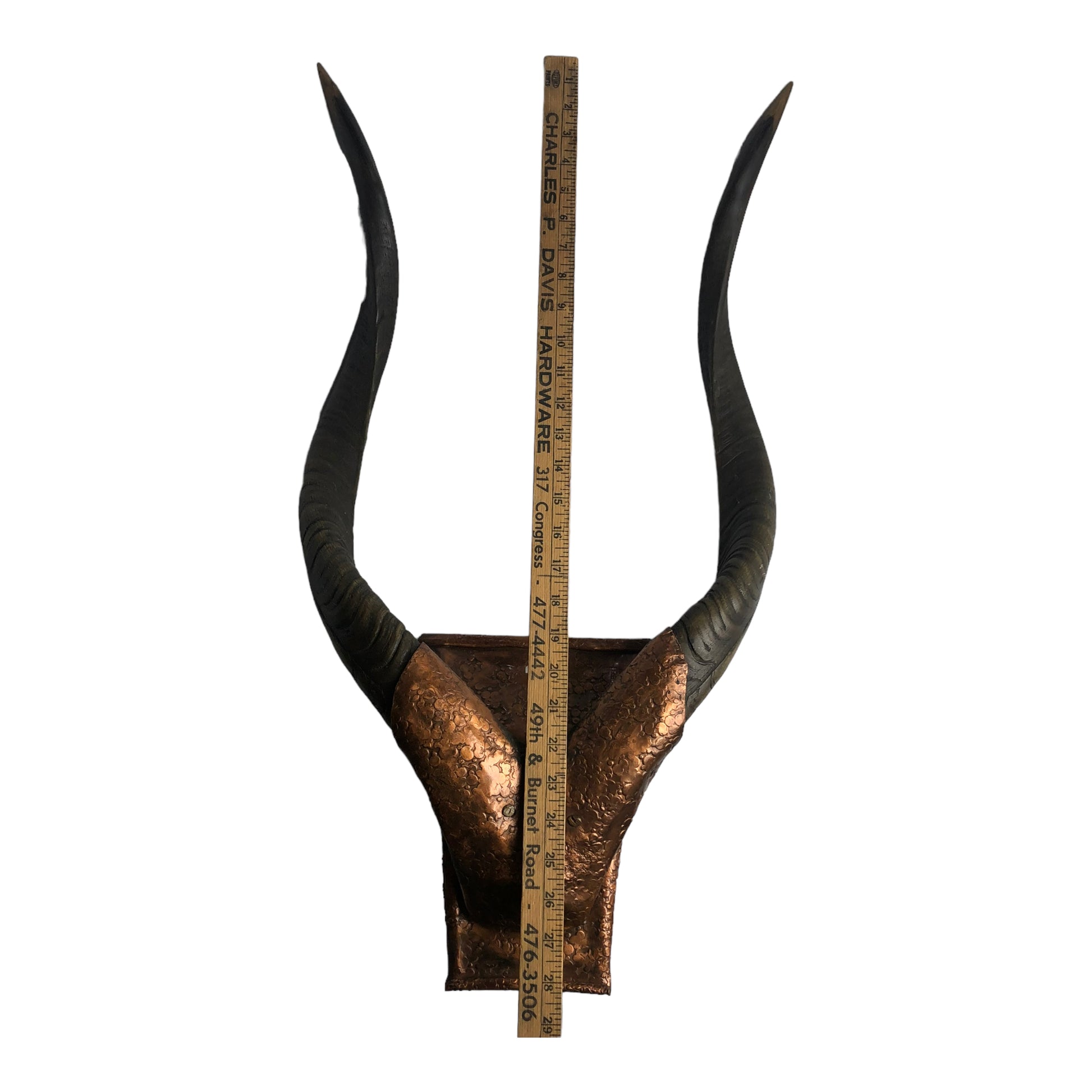 Mount with ruler - Natural Antlers with Hammered Copper Mount